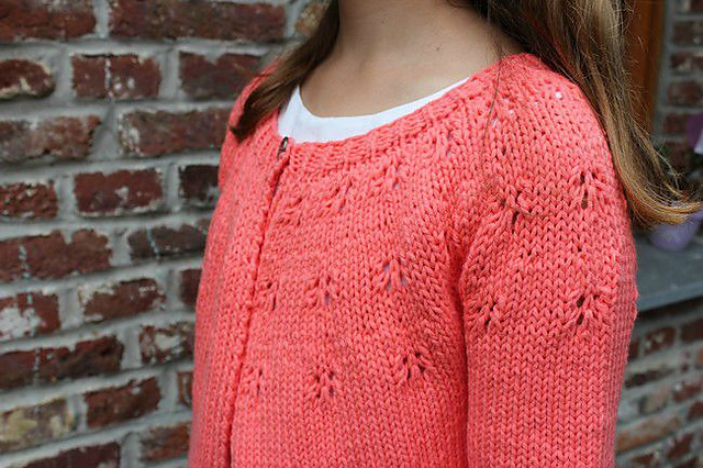 Modele de tricot de gilet enfant hibbis de lilofil