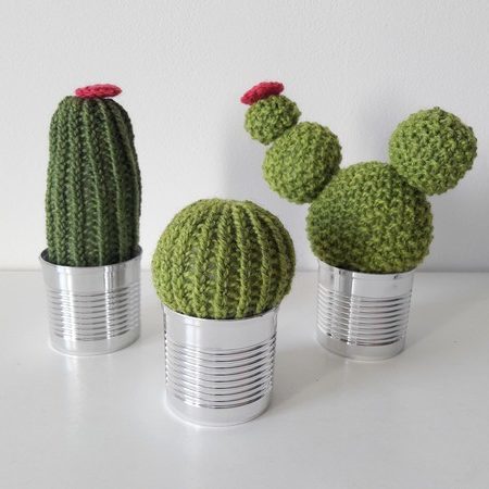 cactus lilofil 1 lilofil