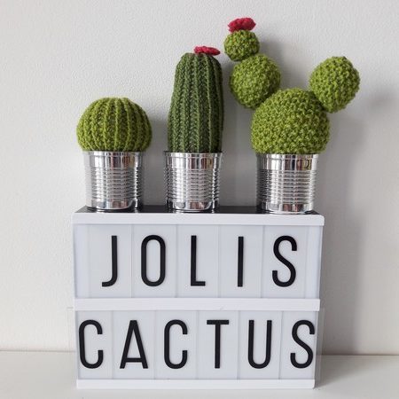 cactus lilofil 3 lilofil