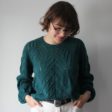 Modele tricot pull Louize