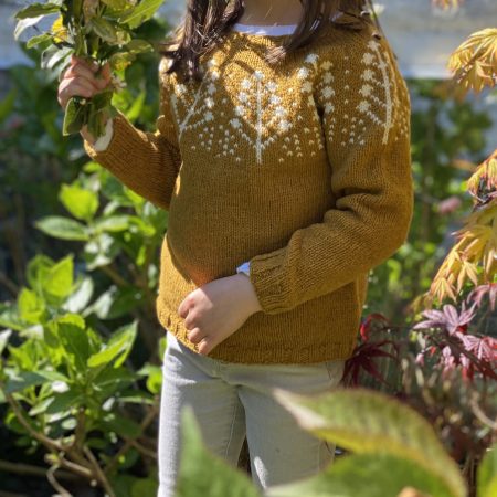 Pins (Little) 1 Modèle tricot pull Pins