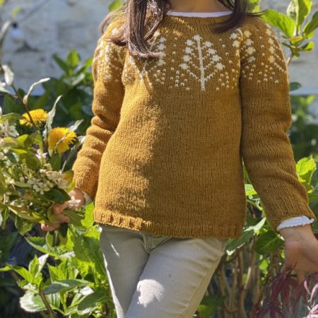 Pins (Little) 2 Modèle tricot pull Pins