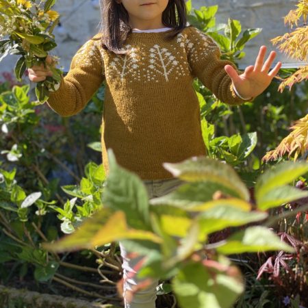 Pins (Little) 9 Modèle tricot pull Pins