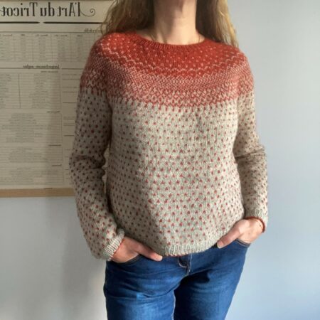 Modèle de tricot-pull Lunta